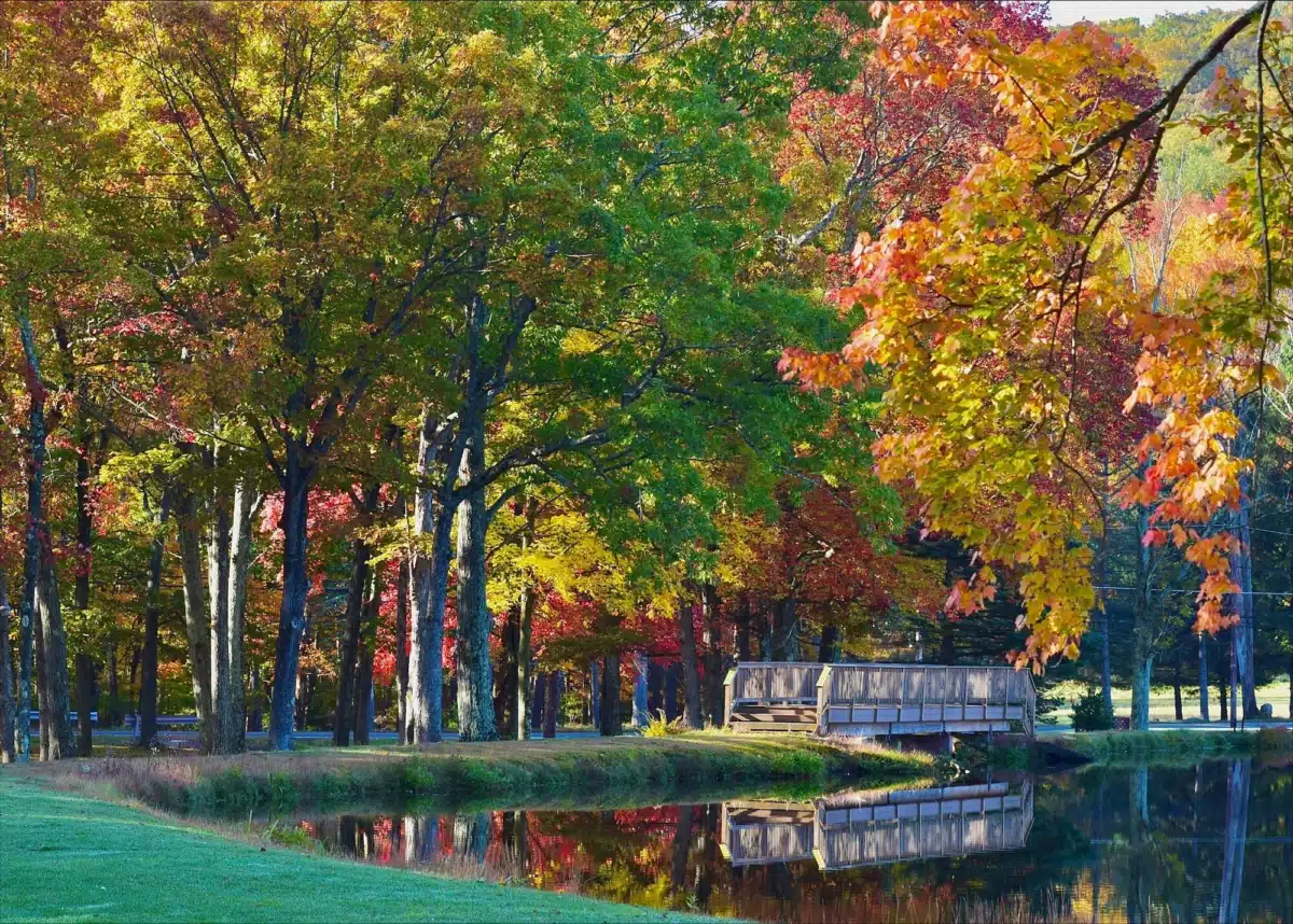 Brookdale Premier Addiction Recovery — addiction treatment center in Pennsylvania